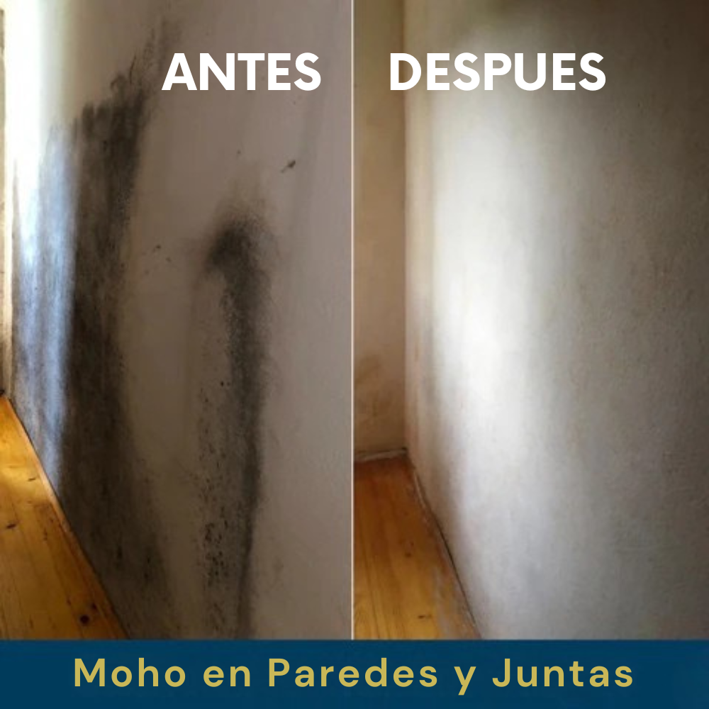 Caja Extrema Antimoho CLAR